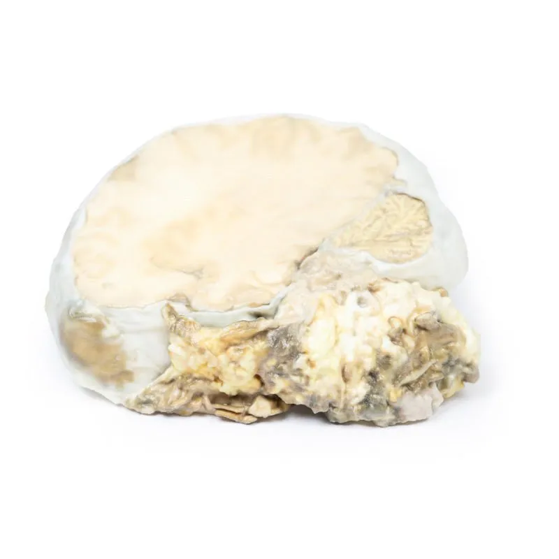 3D Printed Pituitary Adenoma