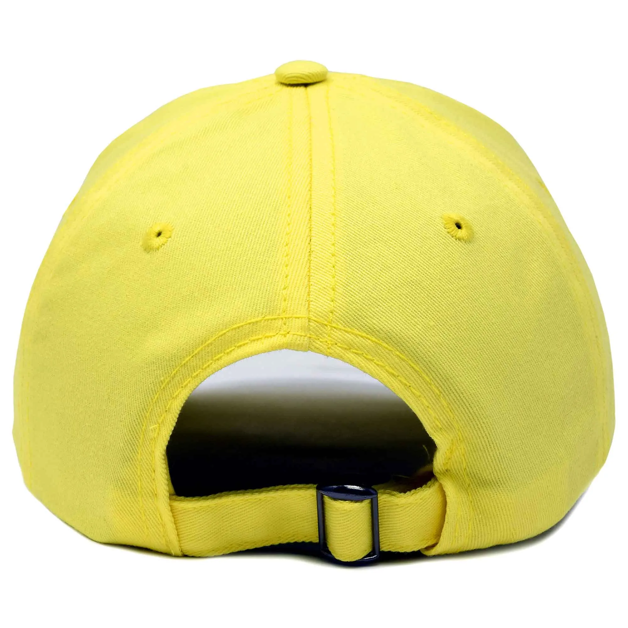 Dalix Monarch Butterfly Hat