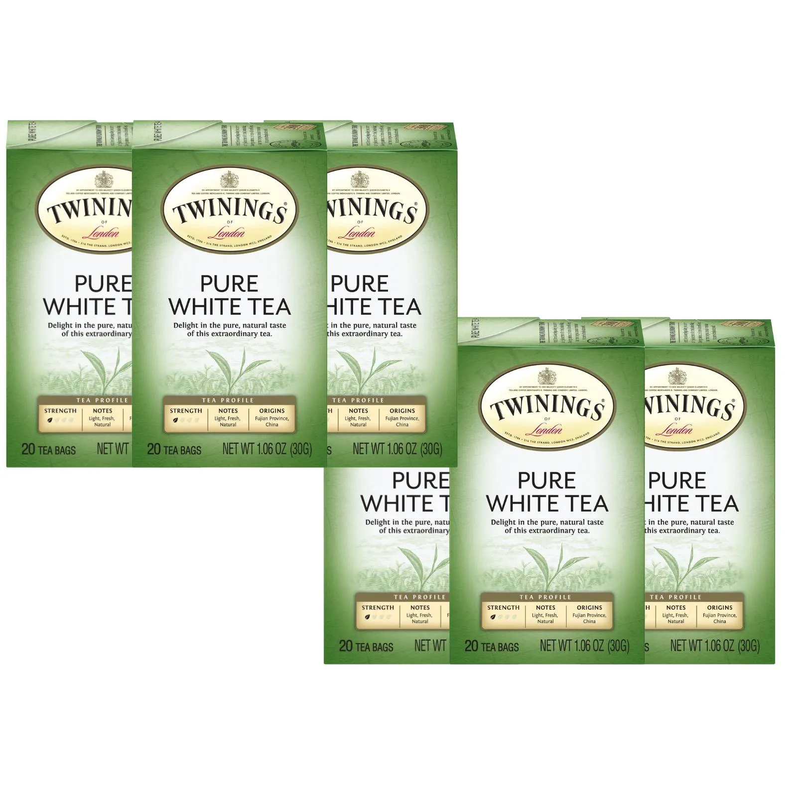 Pure White Tea (International Blend) - 20 Envelopes