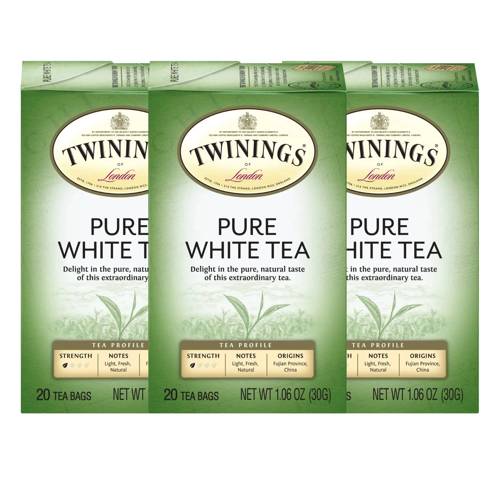 Pure White Tea (International Blend) - 20 Envelopes